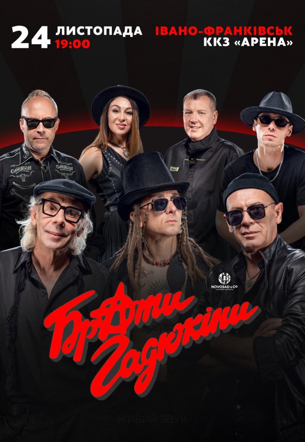 Брати Гадюкіни